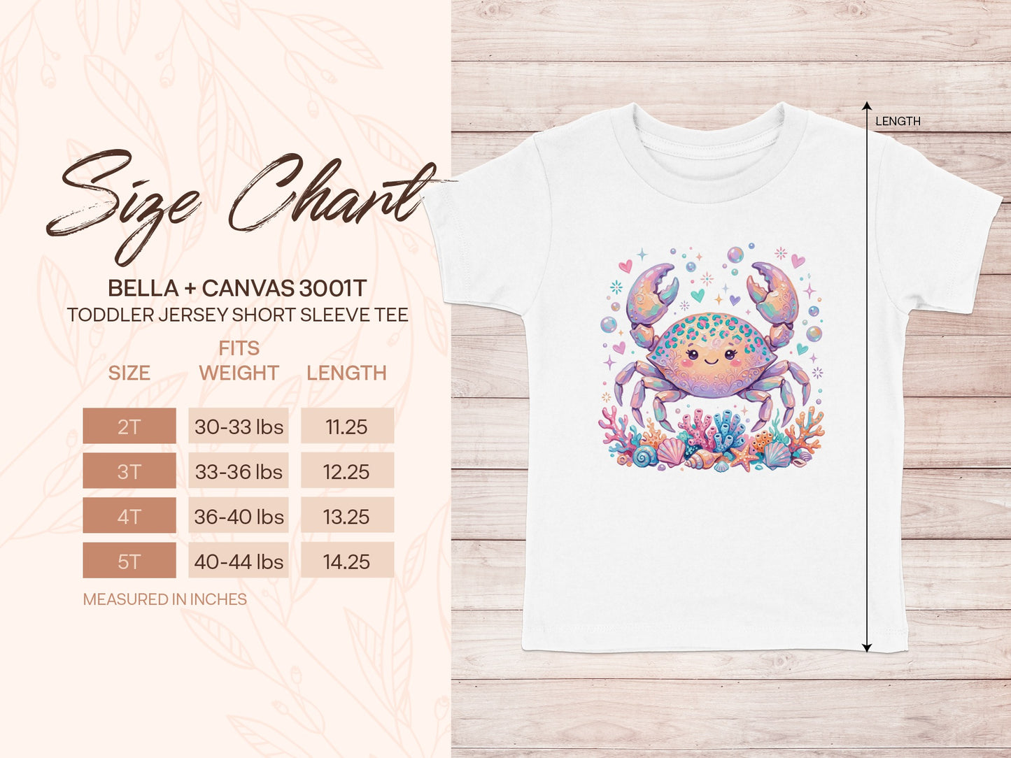 Toddler t-shirt size chart showing fits, weight, and length measurements for sizes 2T to 5T.