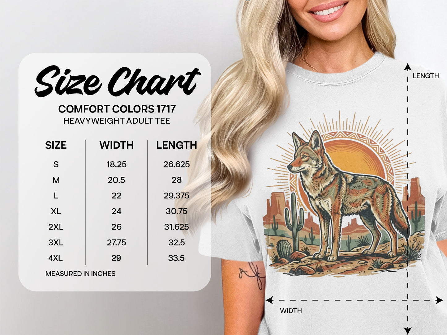 Comfort Colors 1717 heavyweight adult tee size chart with measurements.