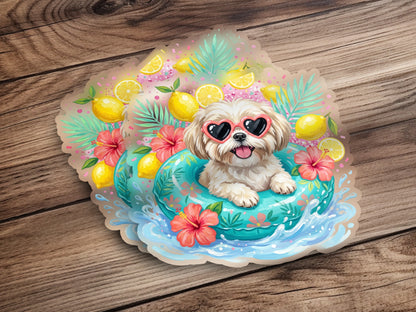 Fluffy white dog wearing heart sunglasses in a pool float.