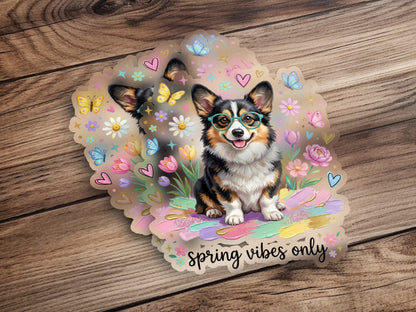 Corgi wearing glasses and butterflies with "spring vibes only" text.