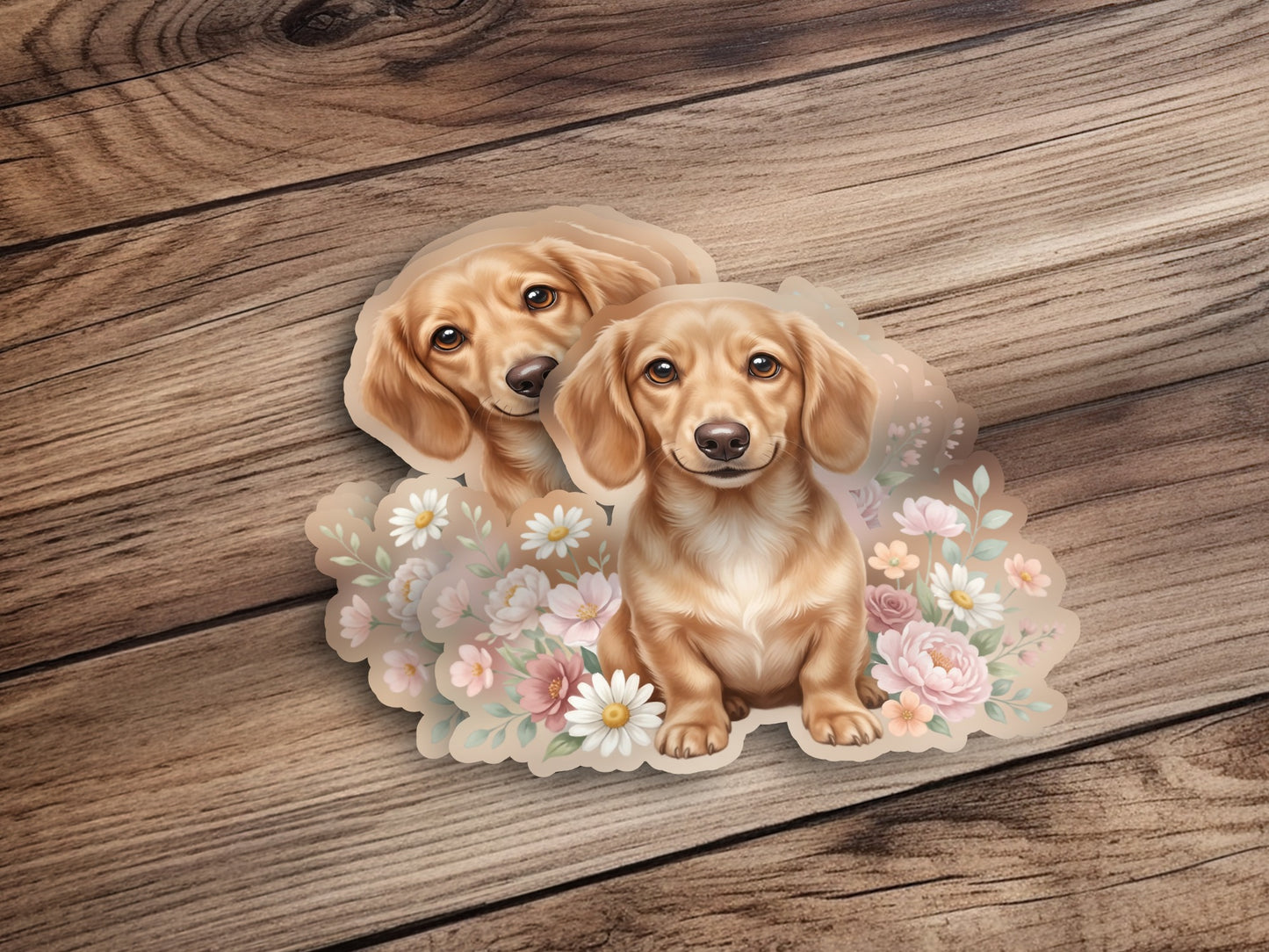 Two light brown dachshund puppies surrounded by pink and white flowers.