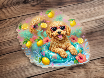 Fluffy dog in heart sunglasses floats in a pool with lemons and hibiscus flowers.