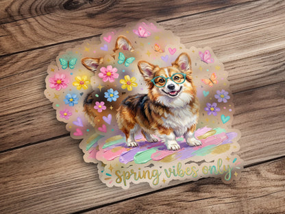 Corgi with glasses and flowers, on striped background, with "spring vibes only" text.